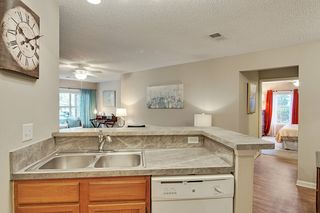 22 Colony Gardens Rd #627, Beaufort, SC 29907