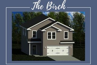 Birch Plan in Peytons Ridge, Hubert, NC 28539