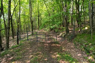 Red Kill Rd, Fleischmanns, NY 12430