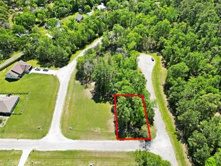 4 Drywood Ln, Huntsville, TX 77340