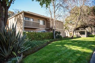 apartments for rent in novato ca 39 rentals trulia