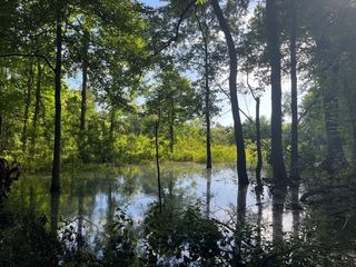 Highway 28, Jonesville, LA 71343