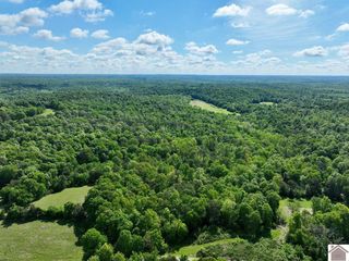 Donahue Rd, Princeton, KY 42445