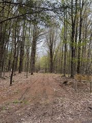 Berry Dr #26, Adams, NY 13605