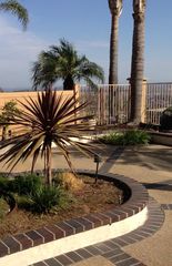 Backyard view