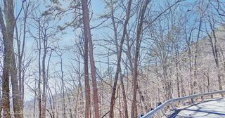 Lot 1C2 Bluff Mountain Rd, Sevierville, TN 37876