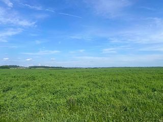 N  600 E, Elnora, IN 47529