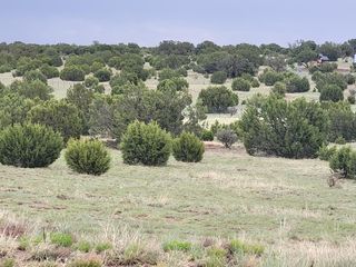 95 Woodline Dr, Edgewood, NM 87015