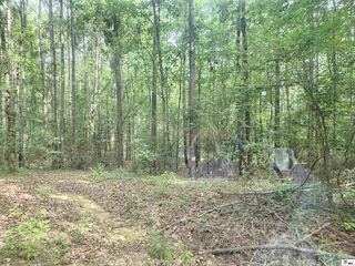 Seven Runs Rd, Columbia, LA 71418