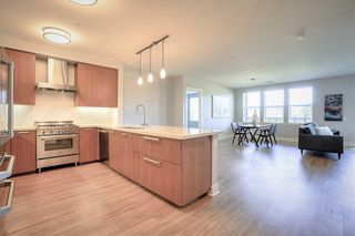 33 San Pablo Ave #215, San Rafael, CA 94903