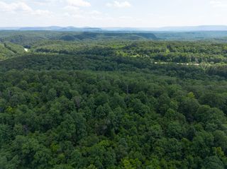 333 Lime Dr, Cushman, AR 72526
