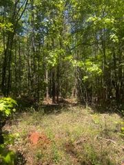 12 / Indian Lake Is, Clayton, AL 36016