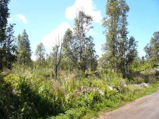 Kilika Rd #223, Keaau, HI 96749