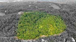 William Dr, Spring City, TN 37381