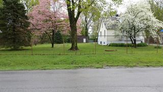 1124 Minor Ln, Louisville, KY 40219