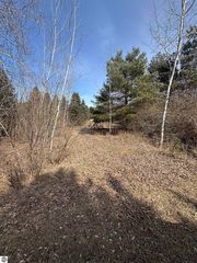 1008 Cantabrian Dr, Weidman, MI 48893