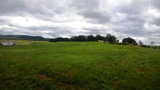 26 Smelcer Rd, Mohawk, TN 37810