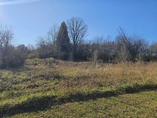 Yates Rd, Hillsboro, TN 37342