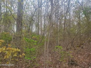 8646 Cherokee Trl #2850, Crossville, TN 38572