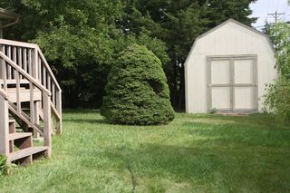 Large MatureYard/Garden Shed