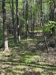 Lambsburg Rd, Galax, VA 24333