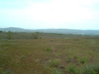 Nna Roza Hill N Of Dr, Yakima, WA 98901