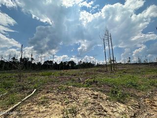 Whitetown Ln, Hazlehurst, MS 39083