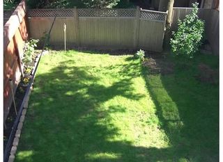 back yard