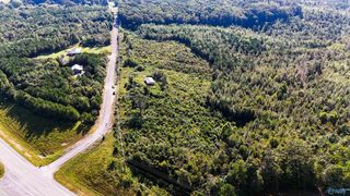 County Road 424, Russellville, AL 35653