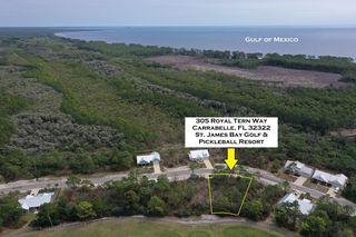 305 Royal Tern Way, Carrabelle, FL 32322