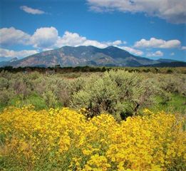 2008 Cottontail Rd 2 lots, Taos, NM 87571