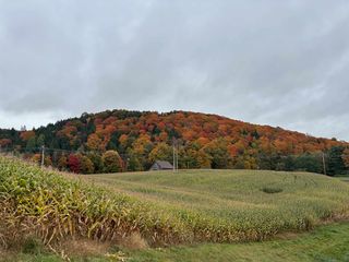 0000 Lily Pond Road #5, Lyndonville, VT 05851