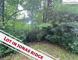 TBD Grady Holland, Newland, NC 28657