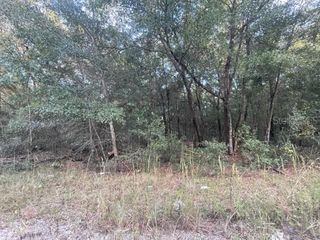 NW 56th Ave #10, Ocala, FL 34482