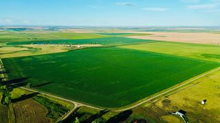 County Highway 22, Presho, SD 57568