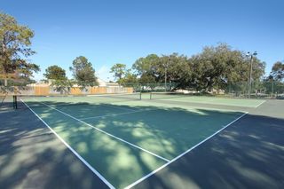 31790 US Highway 19 N #204, Palm Harbor, FL 34684