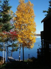 3497 Tamarack Rd, Ely, MN 55731