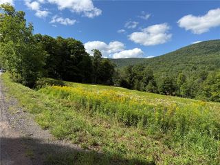 Lower Meeker Hollow Rd #1, Roxbury, NY 12474