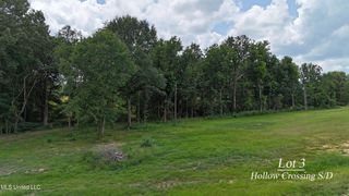 3 Hollow Crossing Cv #3, Senatobia, MS 38668