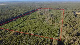 Packton Alexandria Rd, Winnfield, LA 71483