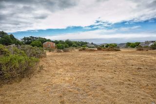 77 Burl Tree, The Sea Ranch, CA 95497