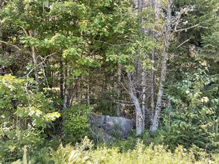 Lot 10 Pidgeon Point Road, Whiting, ME 04691