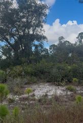 3513 TURIN STREET LOT 4, Lake Placid, FL 33852