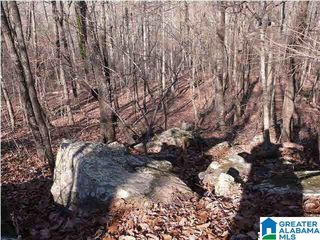 5620 S  Shades Crest Rd #1, Bessemer, AL 35022