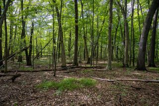 Lot 14 Oak Hill Ests, Mauston, WI 53948