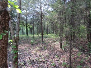 Chetola Trl, Townsend, TN 37882
