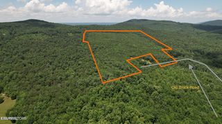 Shady Oaks Dr, Spring City, TN 37381