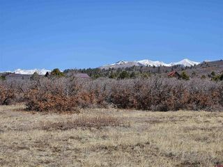 Lot 13 Roberts Ridge Drive, Hesperus, CO 81326