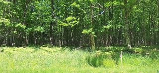 xxx South Shore Rd Lot 4, Block 2 South Shore Woodlands, La Pointe, WI 54850
