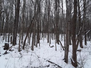 Blake Hill Rd, Van Etten, NY 14889